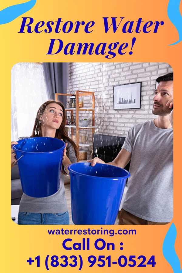 water restoration Allied Sewage Cleanup Experts Weyers Cave